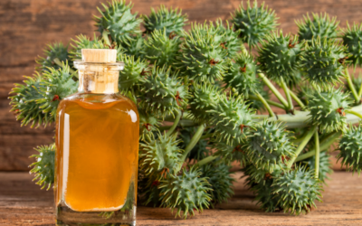 Oil Profiles – Castor Seed Oil