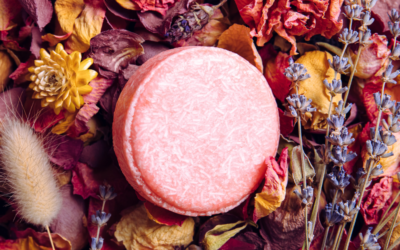 Shampoo Bars : All You Wanted To Know 